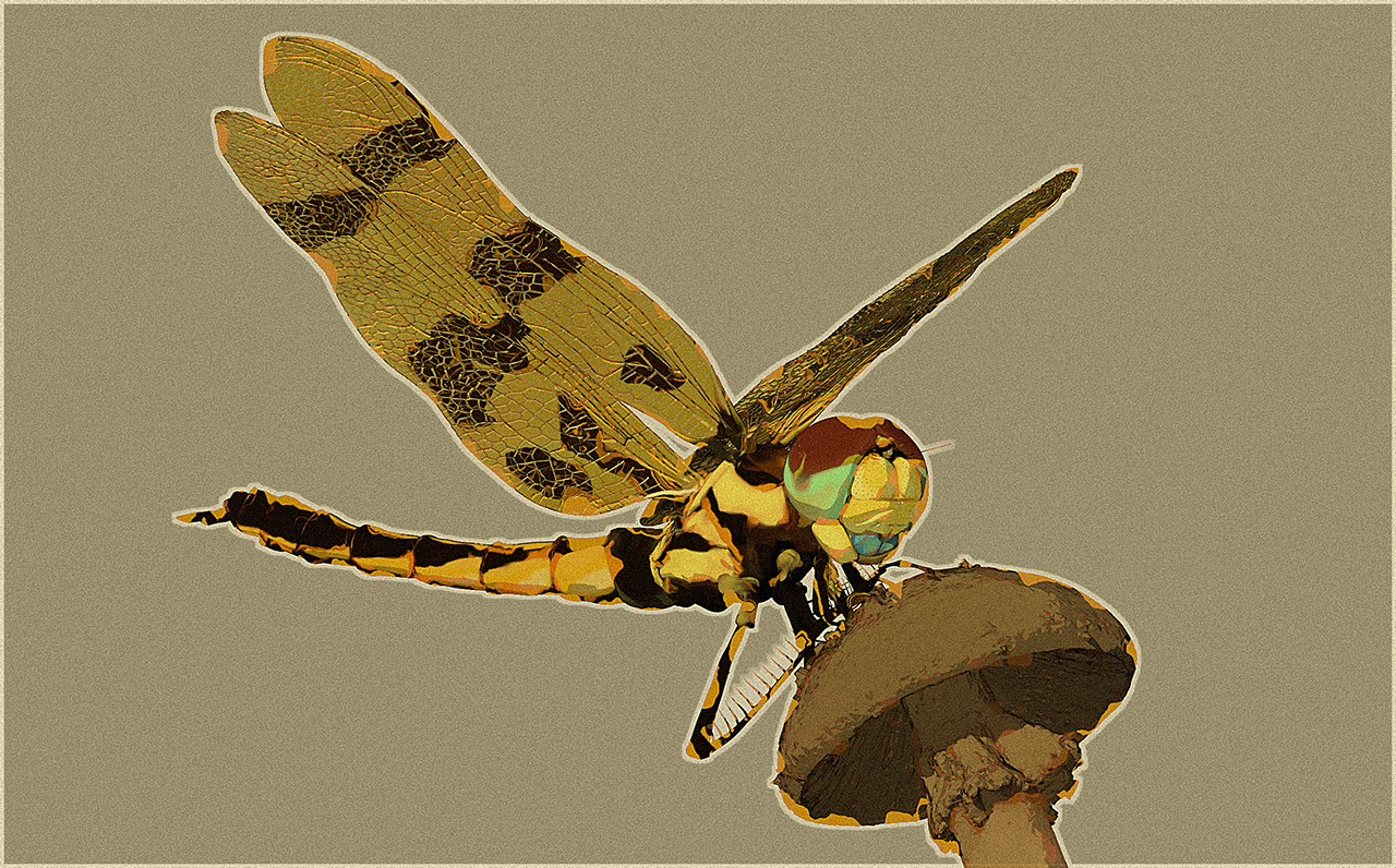 C_eponina_render_004.jpg