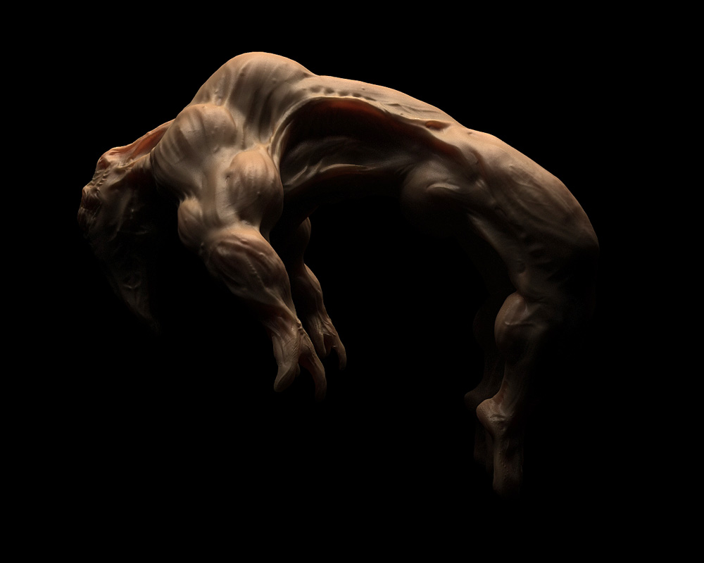 spine03.jpg