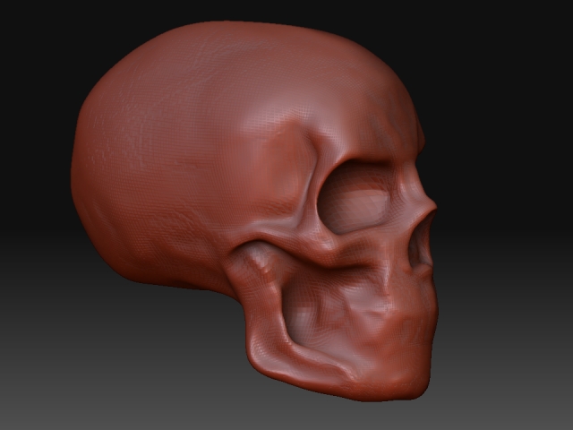 skull.jpg