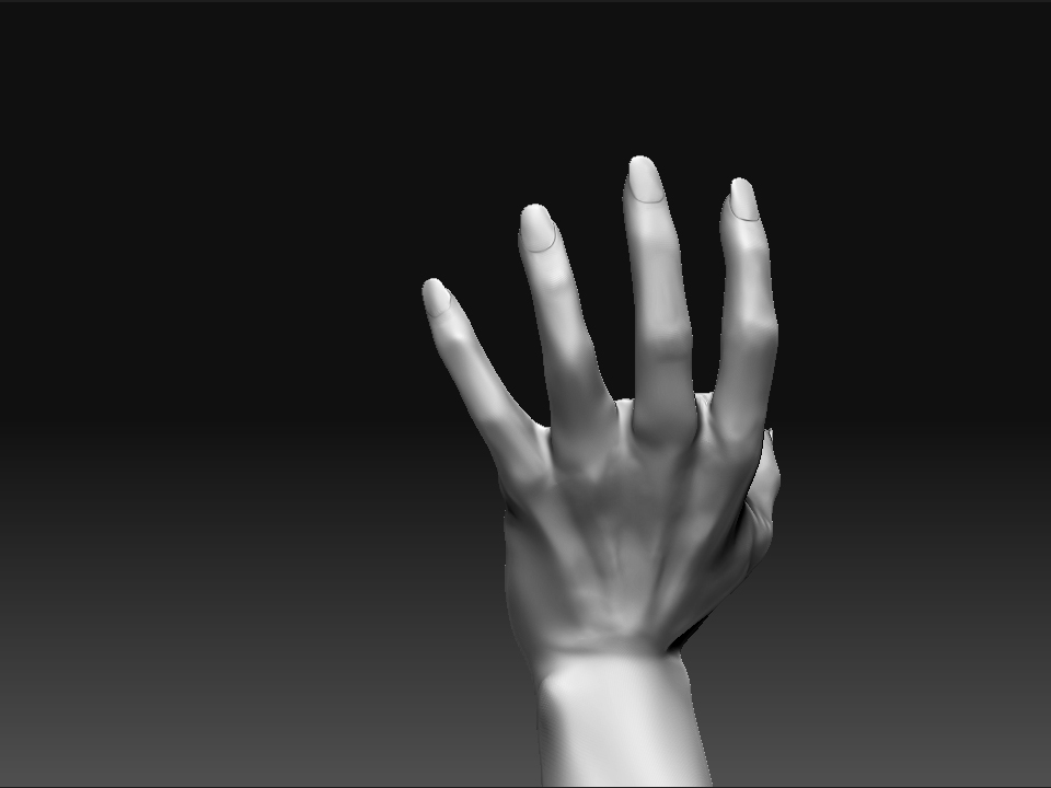 handStudy02.jpg