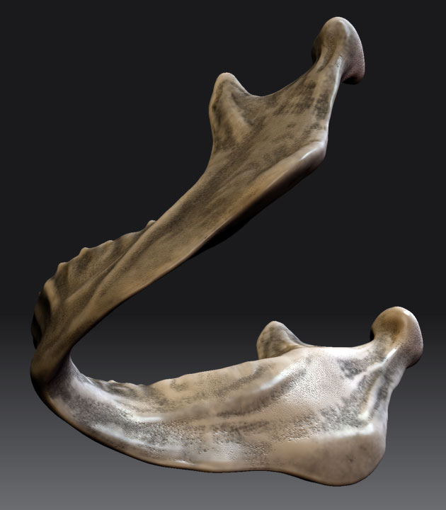 JawboneRetopF.jpg