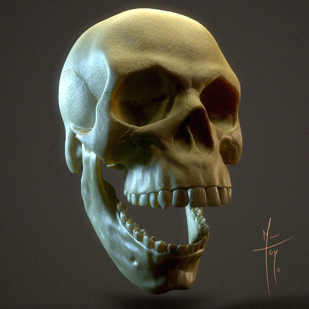 Skull_1