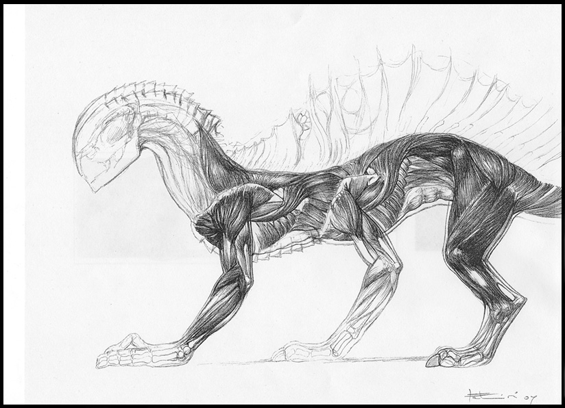 Beasty  Muscles.jpg
