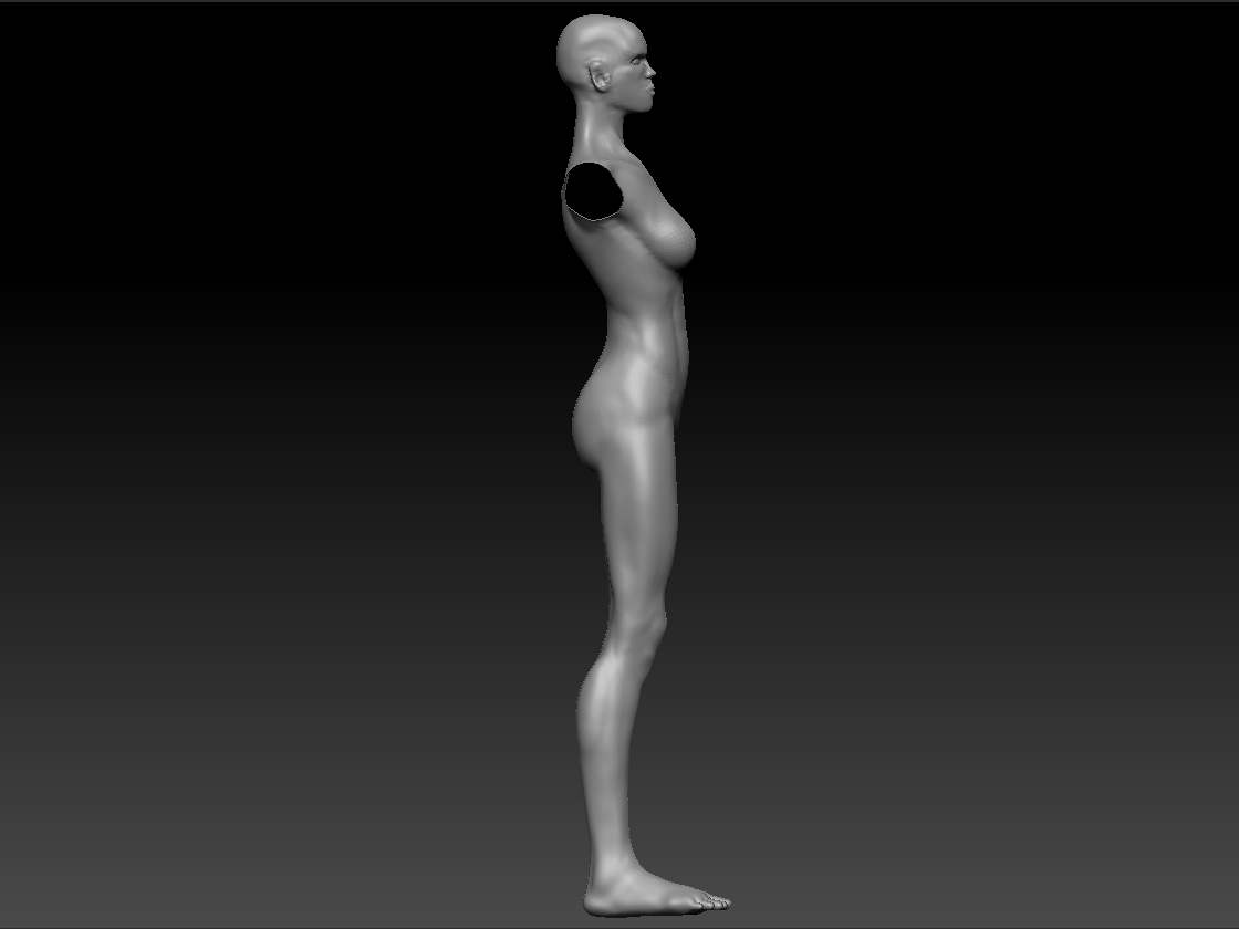 basicWomanSide.jpg