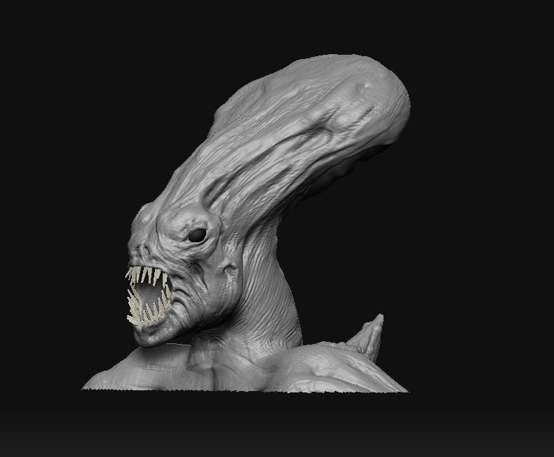 head.jpg