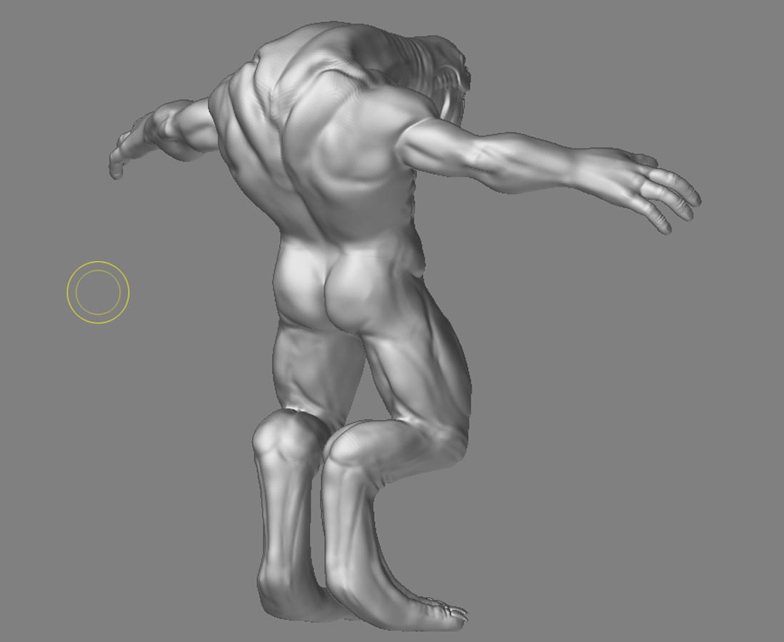 anatomyfin4.jpg