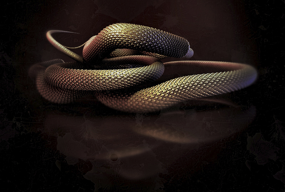 SNAKE 01.jpg