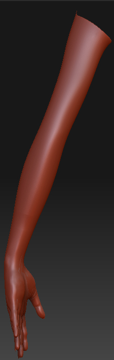 arm_s1.jpg