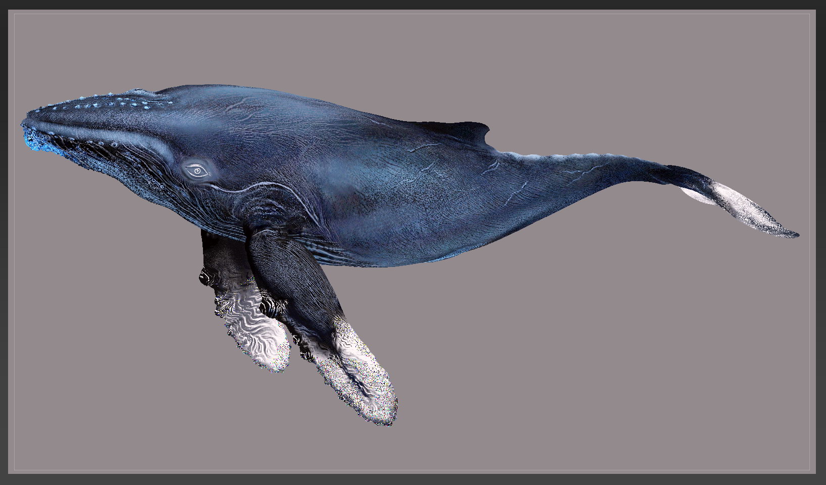 whale paint side2.jpg