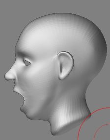 model with mouth closed or open zbrush rigging