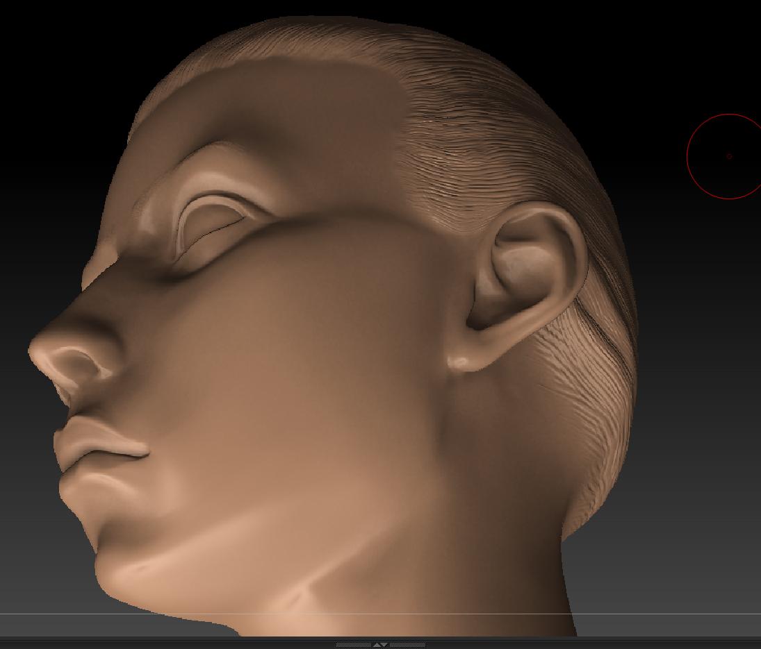femaleheadfinal3.jpg