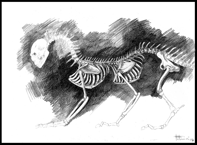 Beasty Skeleti.jpg