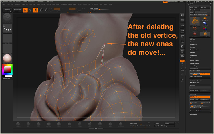 StickyTopology_3.JPG