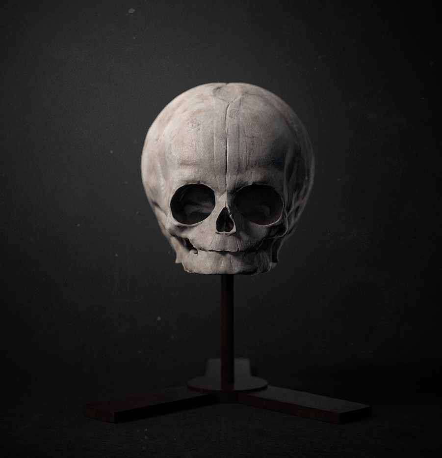 Foetal Skull Study.jpg