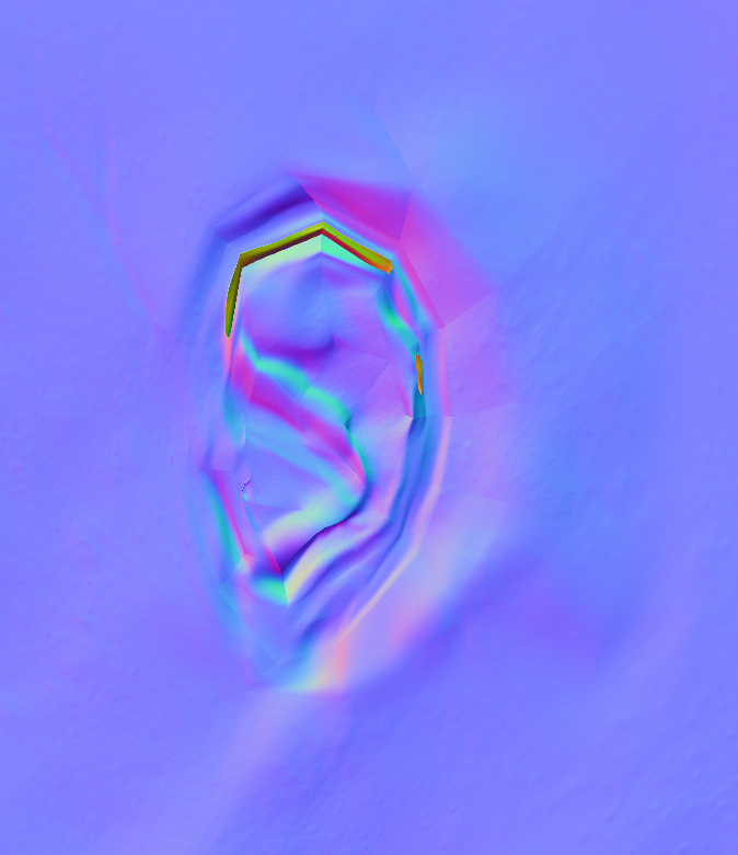ear_normal_error.JPG