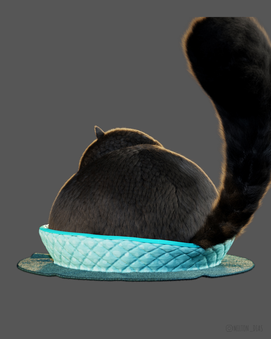 Render_03