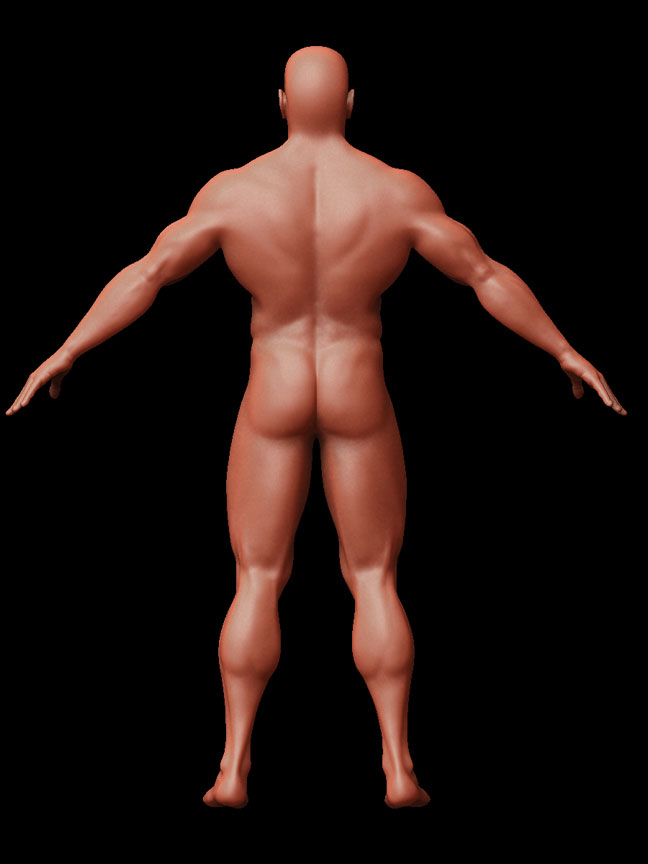 14.jpg