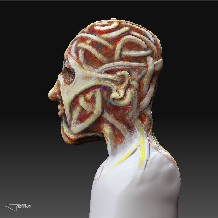 head-clay-and-paint-side.jpg