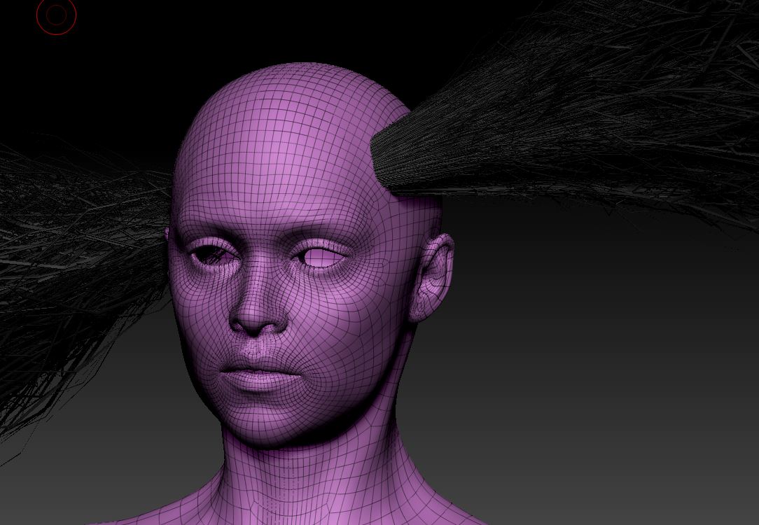 FIBERMESH2