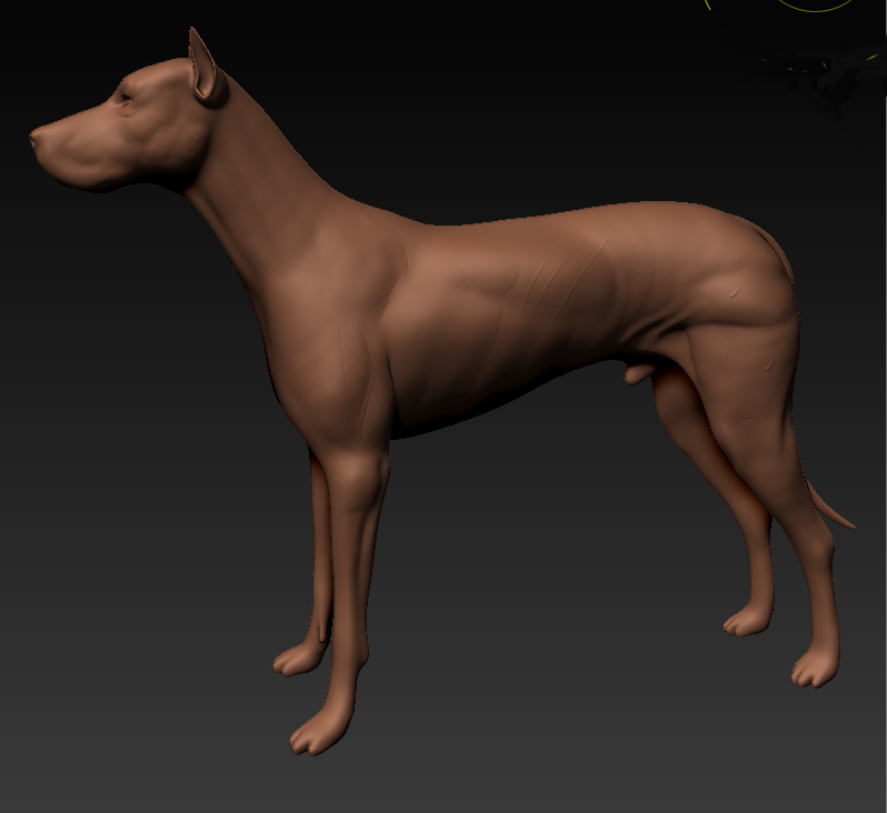 dog.jpg