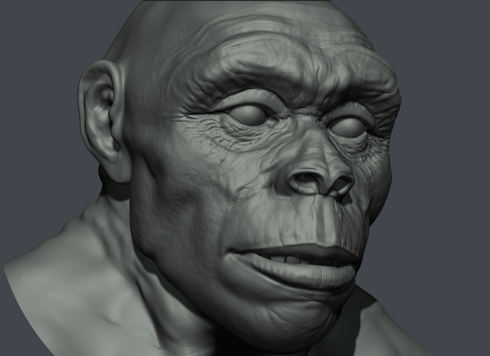 Head_Progress.jpg