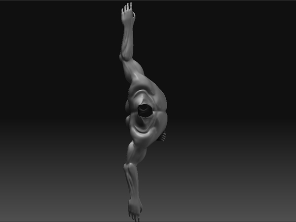 Bodytop.jpg