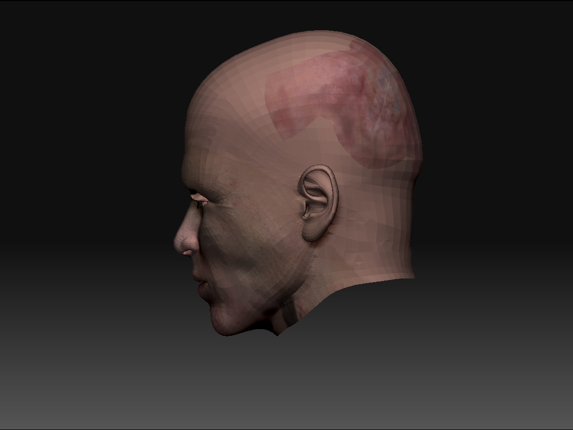 ZBrush Document 2.jpg