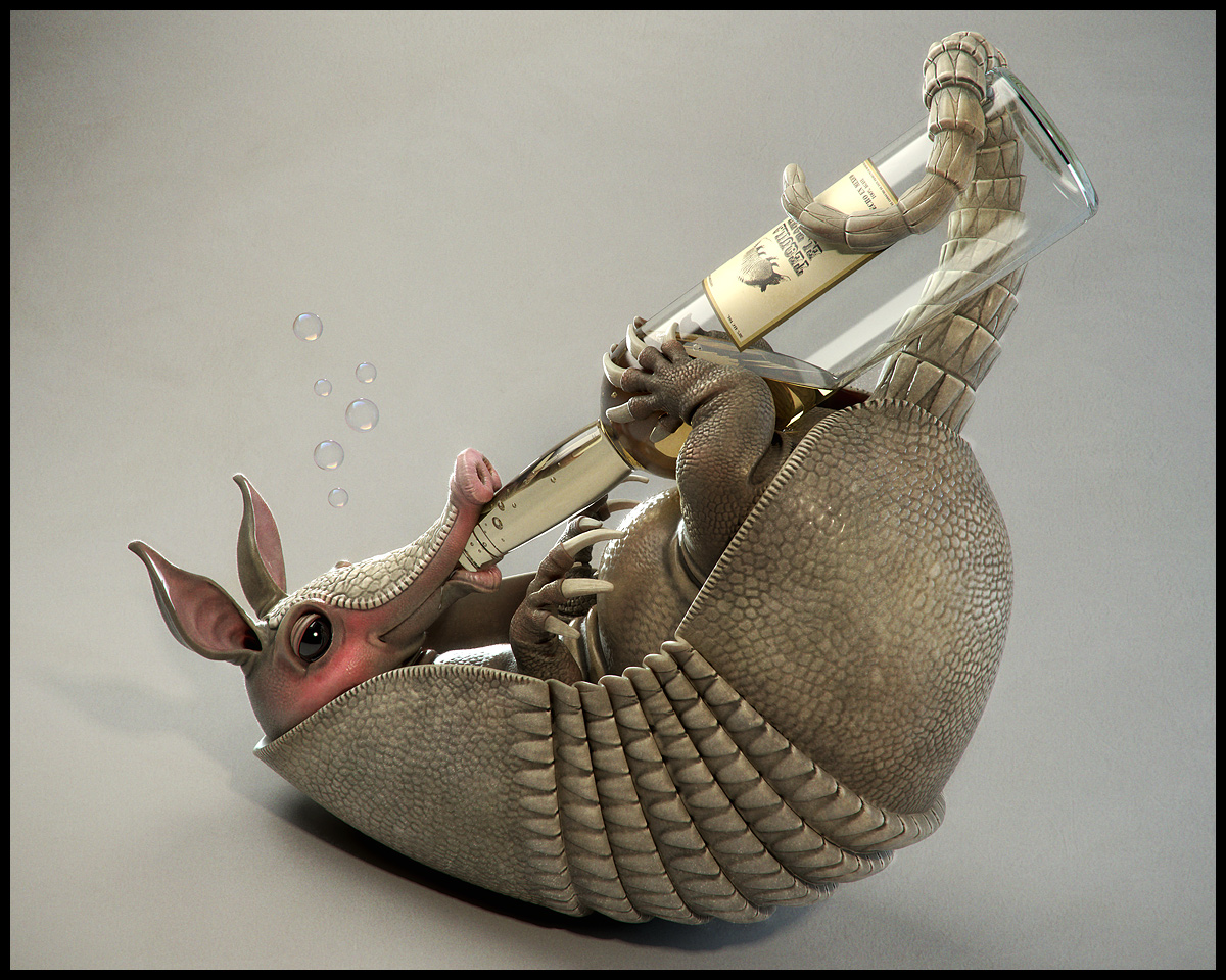 armadillo_final05_1200.jpg