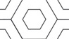 PIC1-1cropA.jpg