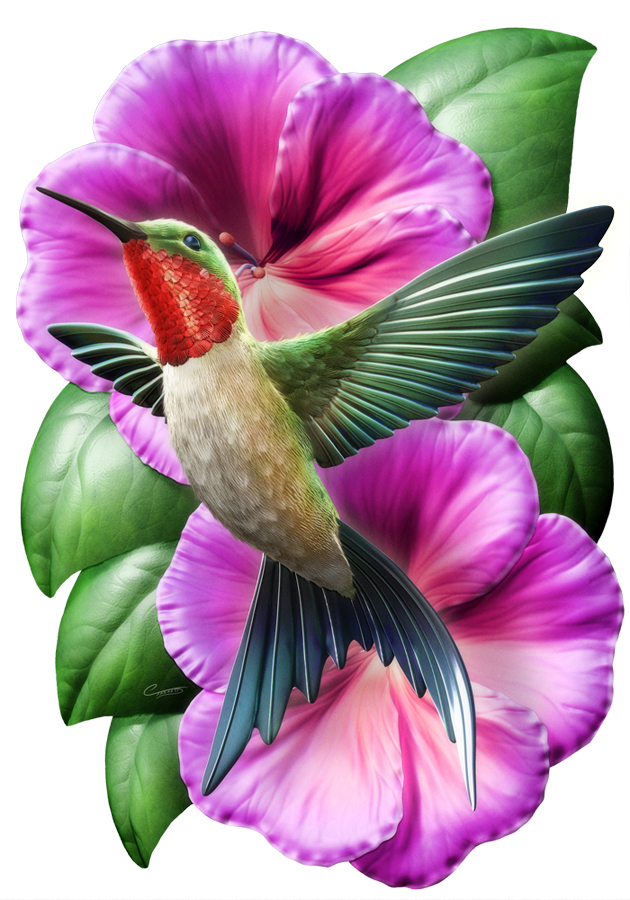 Hummingbird1.jpg