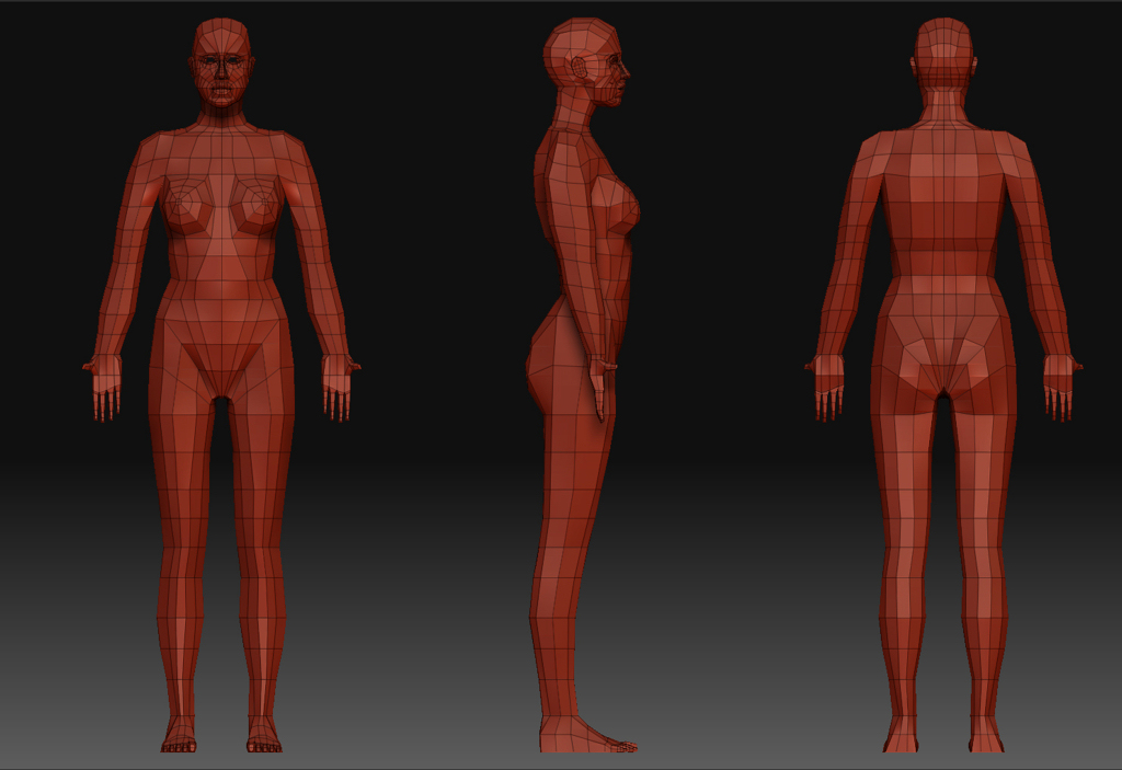 Female Custom Base Mesh 3d Model