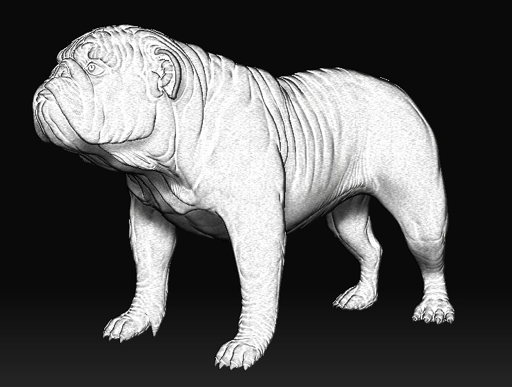 dog1.jpg