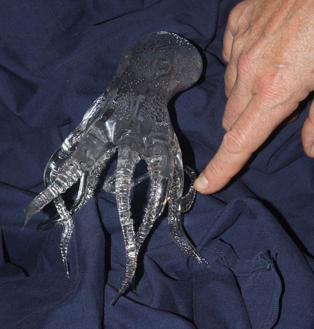 octo_front.jpg
