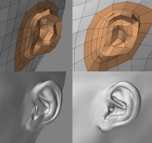 ear.jpg