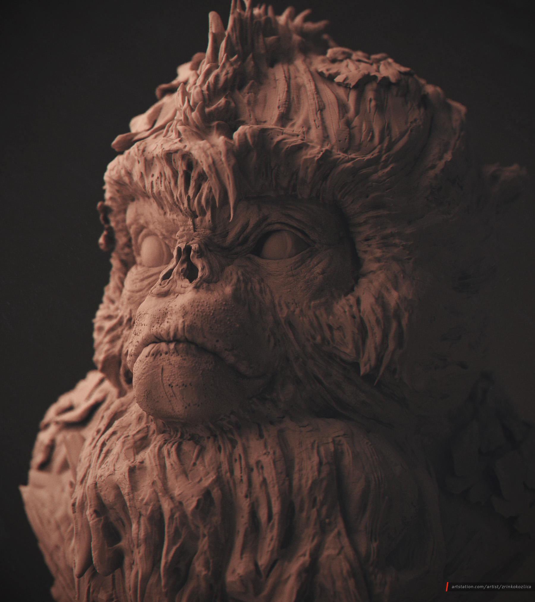MonkeyShot07_Beauty.jpg