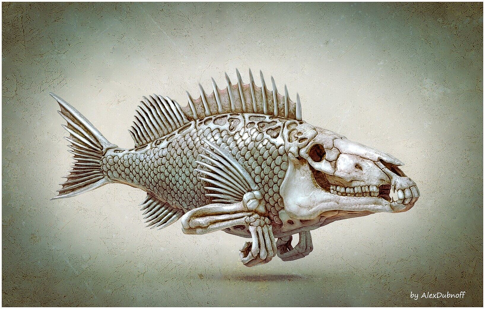 alex-dubnoff-alex-dubnoff-fishhead2