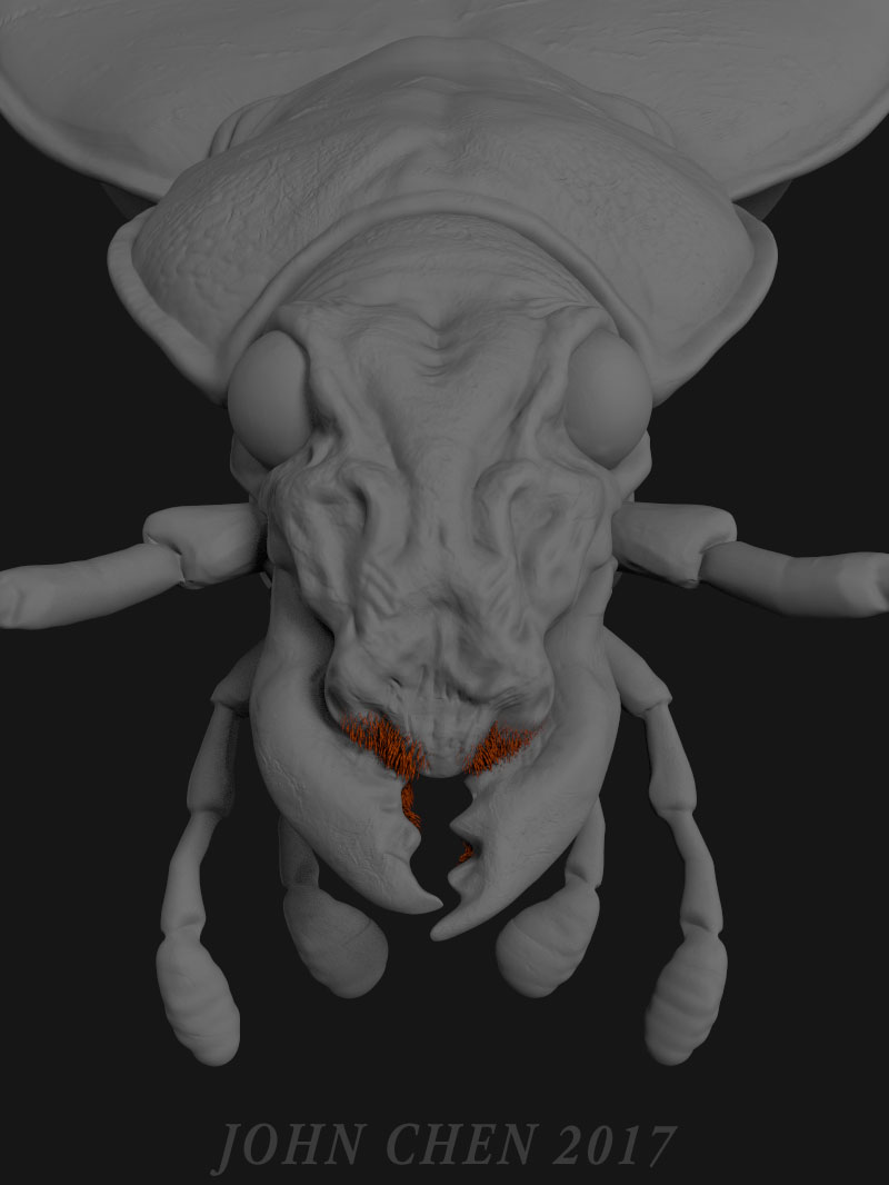bug3.jpg