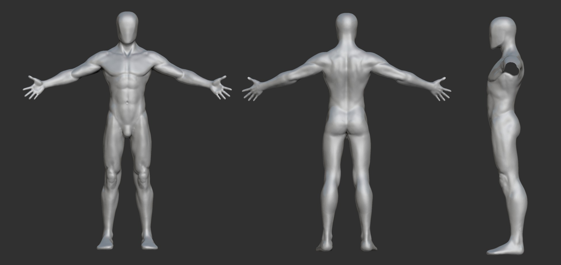 malebodystudy_ortho.jpg