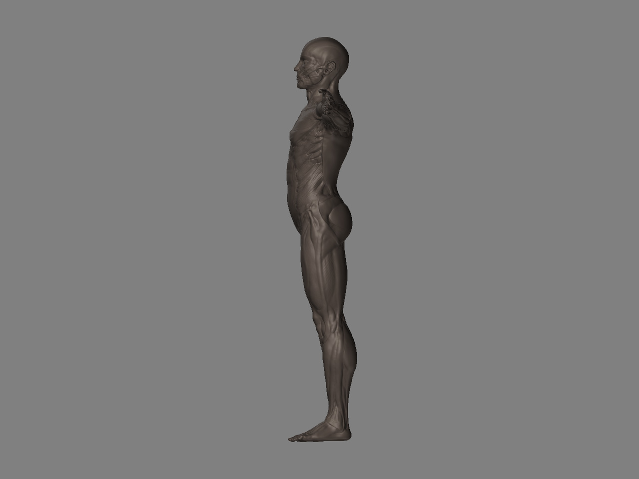 Side.jpg