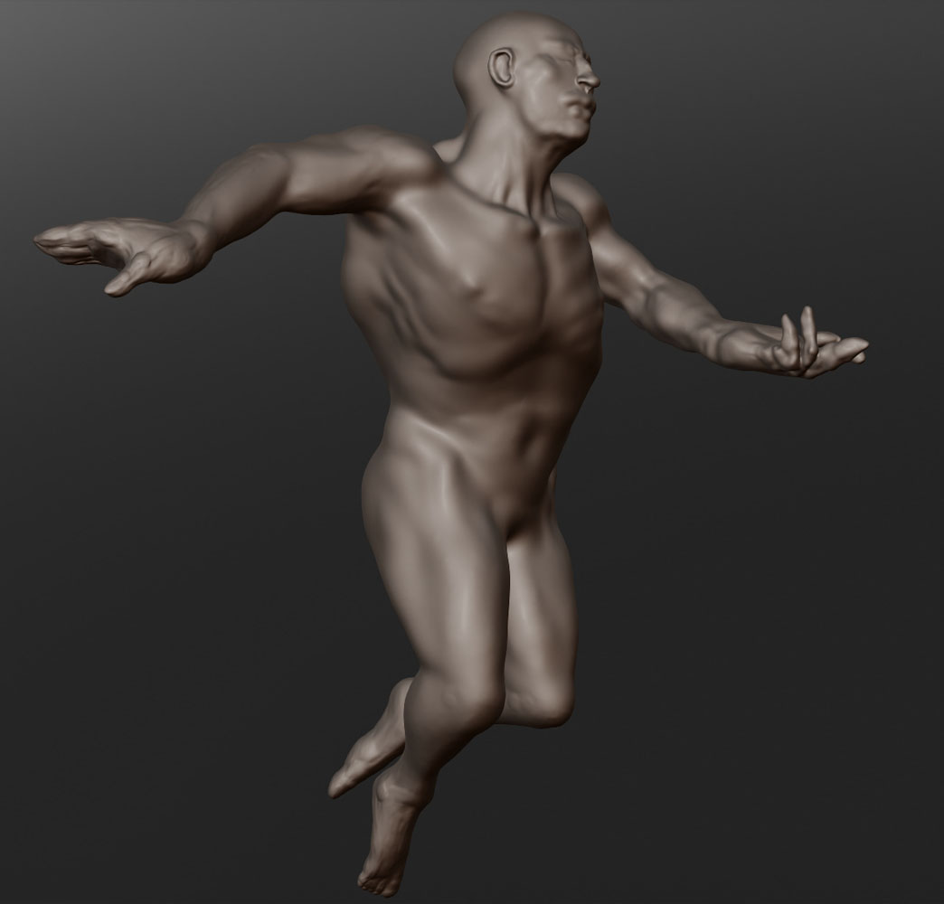 CLASSICAL TORSO 21.jpg