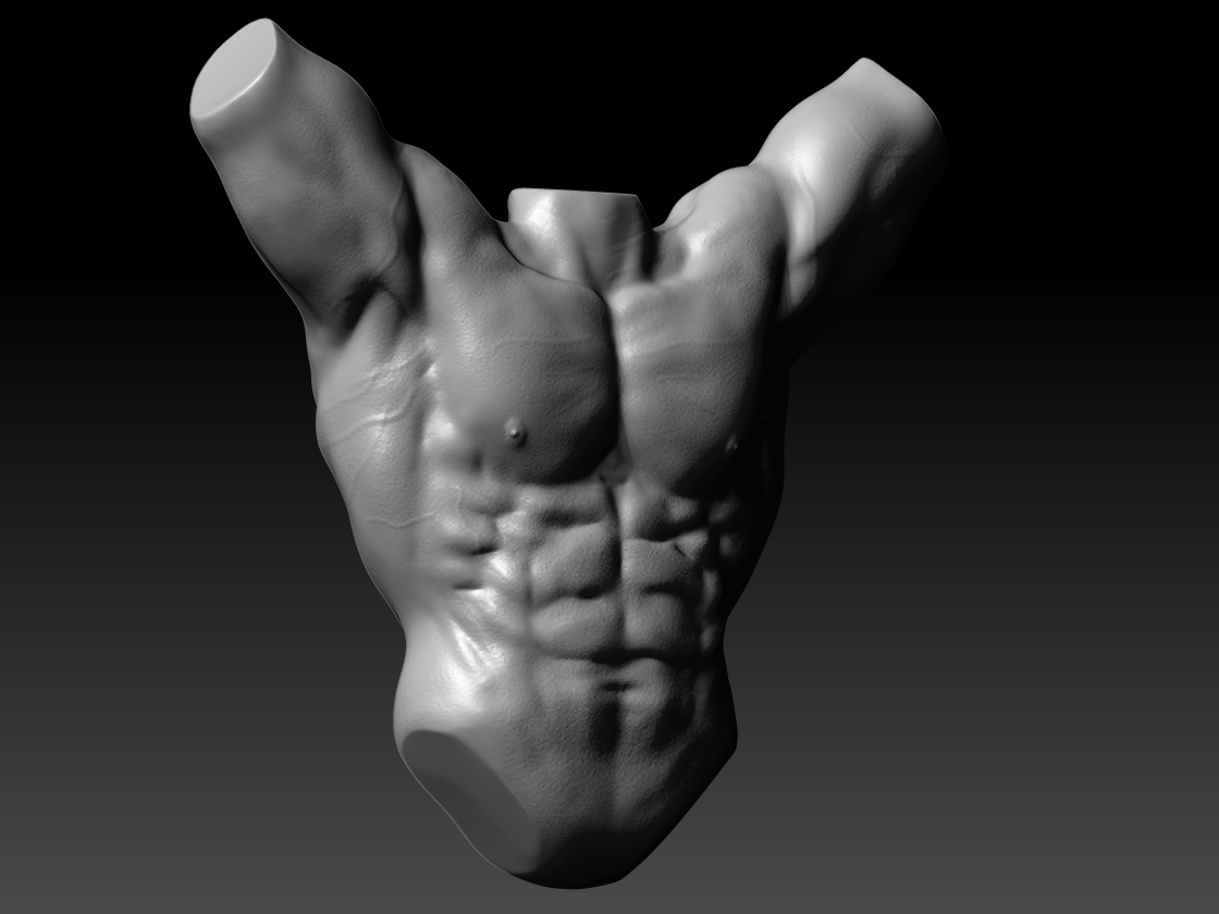 Torso1.jpg