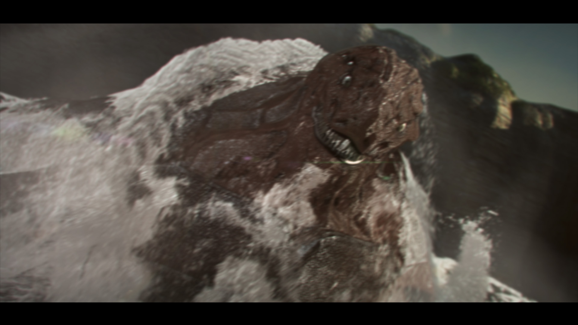 Kraken_STILL.jpg