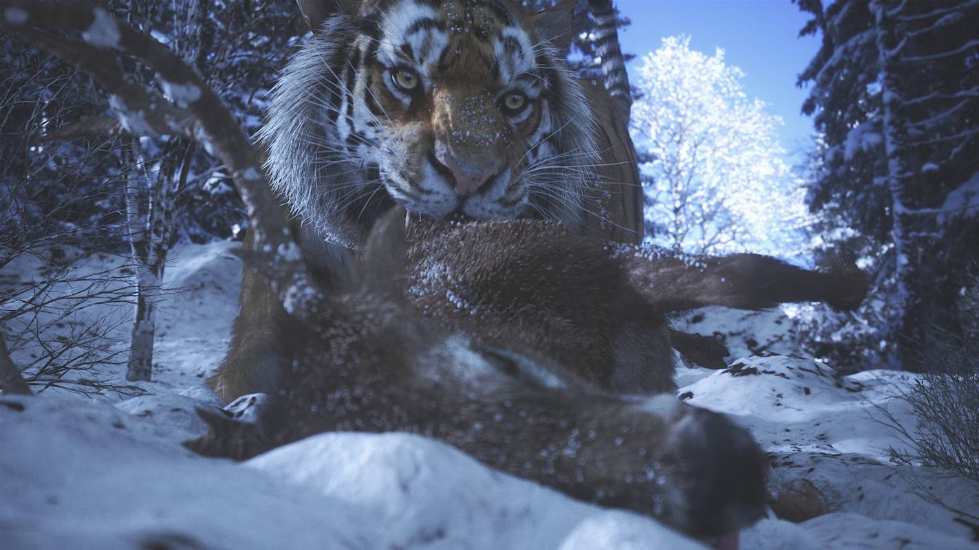 Tiger_14.jpg