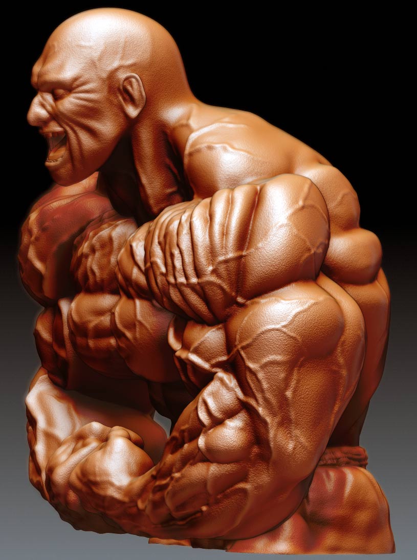 maxxmuscle-15.jpg