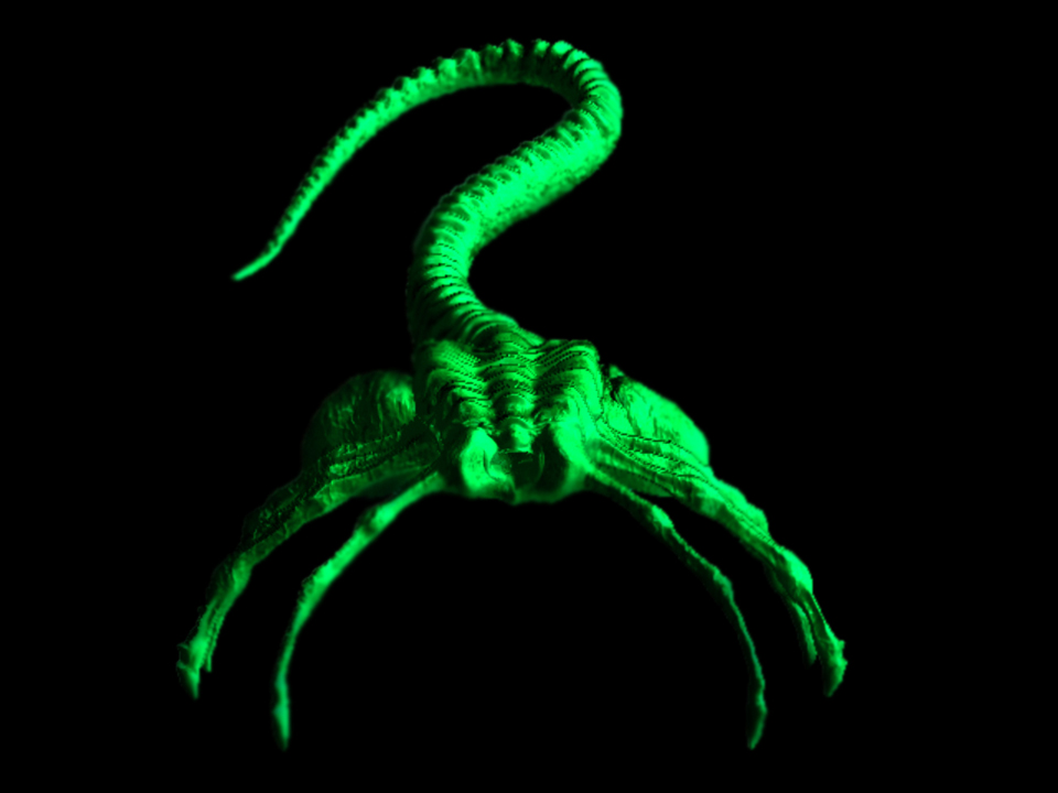 Hugger Green.jpg