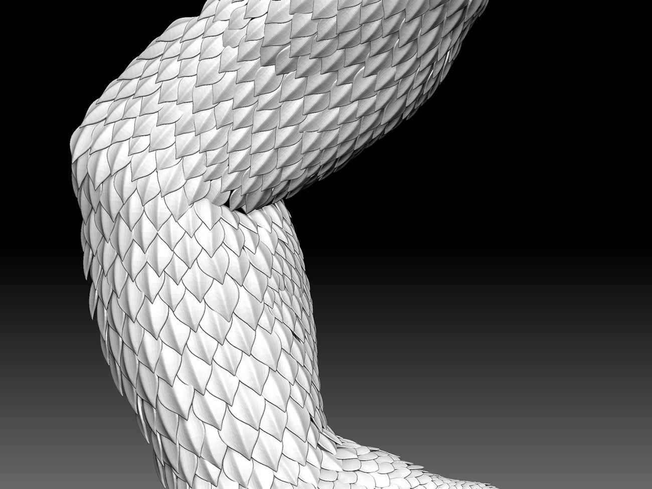 Bearded-Dragon-scales