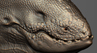 thumb.jpg