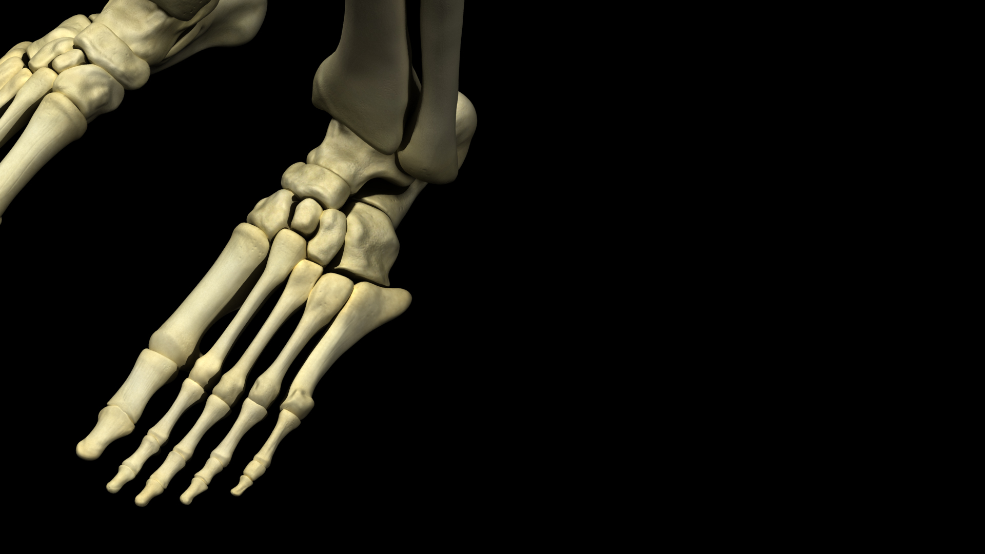 Foot_CloseUp.jpg