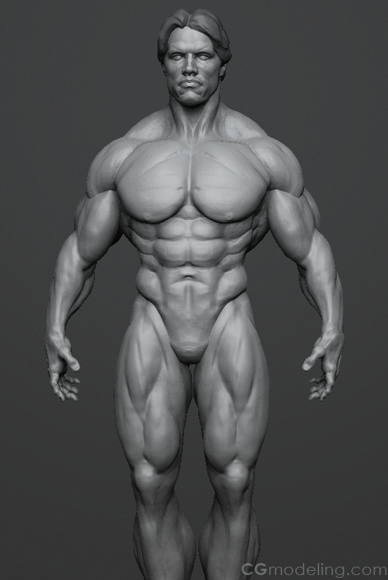 Michael_Milano_Arnolad_WIP
