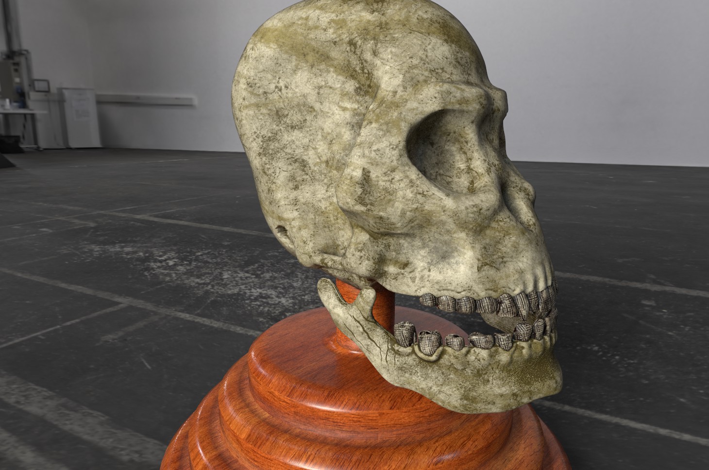 ape%20skull%201%20Sp2